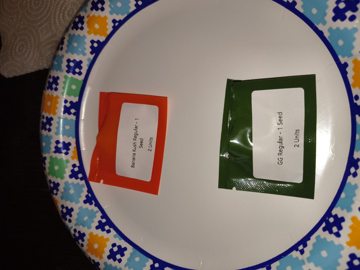 bbs-grow-diaries/blimburnseeds-com/user-12591/09b68f400779af62