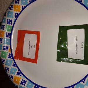 bbs-grow-diaries/blimburnseeds-com/user-12591/09b68f400779af62