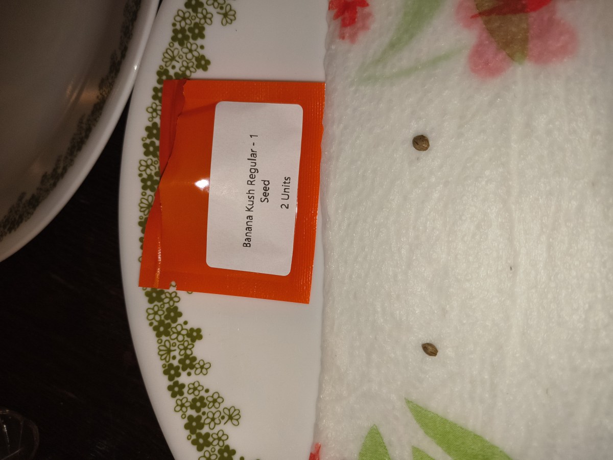 bbs-grow-diaries/blimburnseeds-com/user-12591/6b81cb2ac191e49f