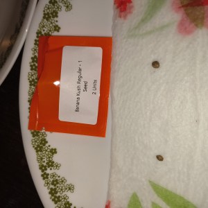 bbs-grow-diaries/blimburnseeds-com/user-12591/6b81cb2ac191e49f