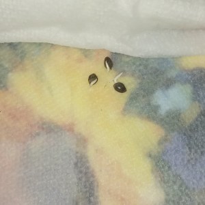 bbs-grow-diaries/blimburnseeds-com/user-22876/ad8b9582aebacab6