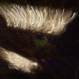 bbs-grow-diaries/blimburnseeds-com/user-2807/9139f1d7ae81998b