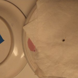 bbs-grow-diaries/blimburnseeds-com/user-32286/b0af7a6b41d6d20c