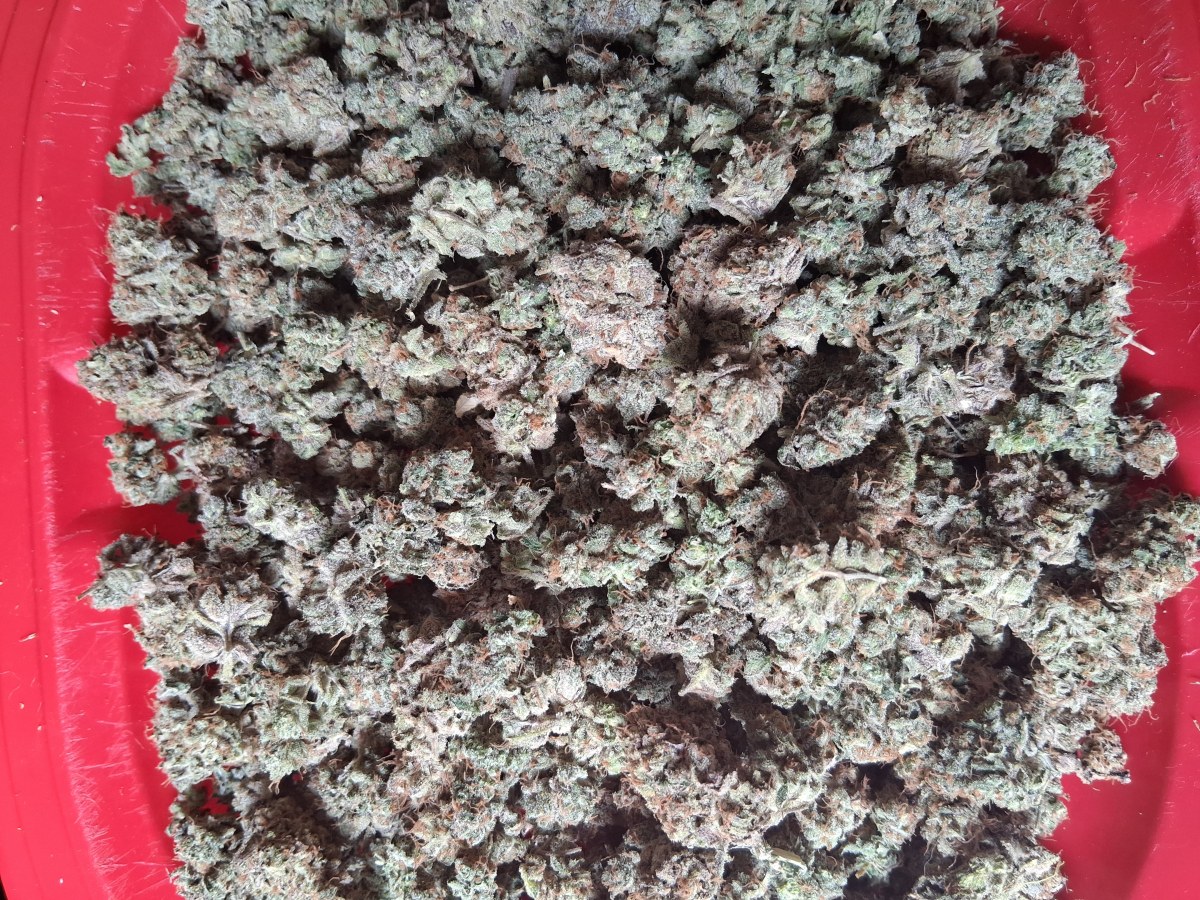 bbs-grow-diaries/blimburnseeds-com/user-39792/1abca5eedd97d9aa