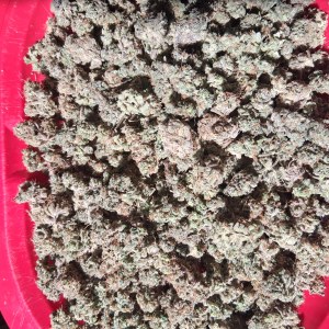 bbs-grow-diaries/blimburnseeds-com/user-39792/5c8b0f3370c511e3