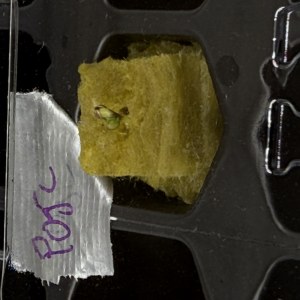bbs-grow-diaries/blimburnseeds-com/user-40173/4cc237bfc158deda