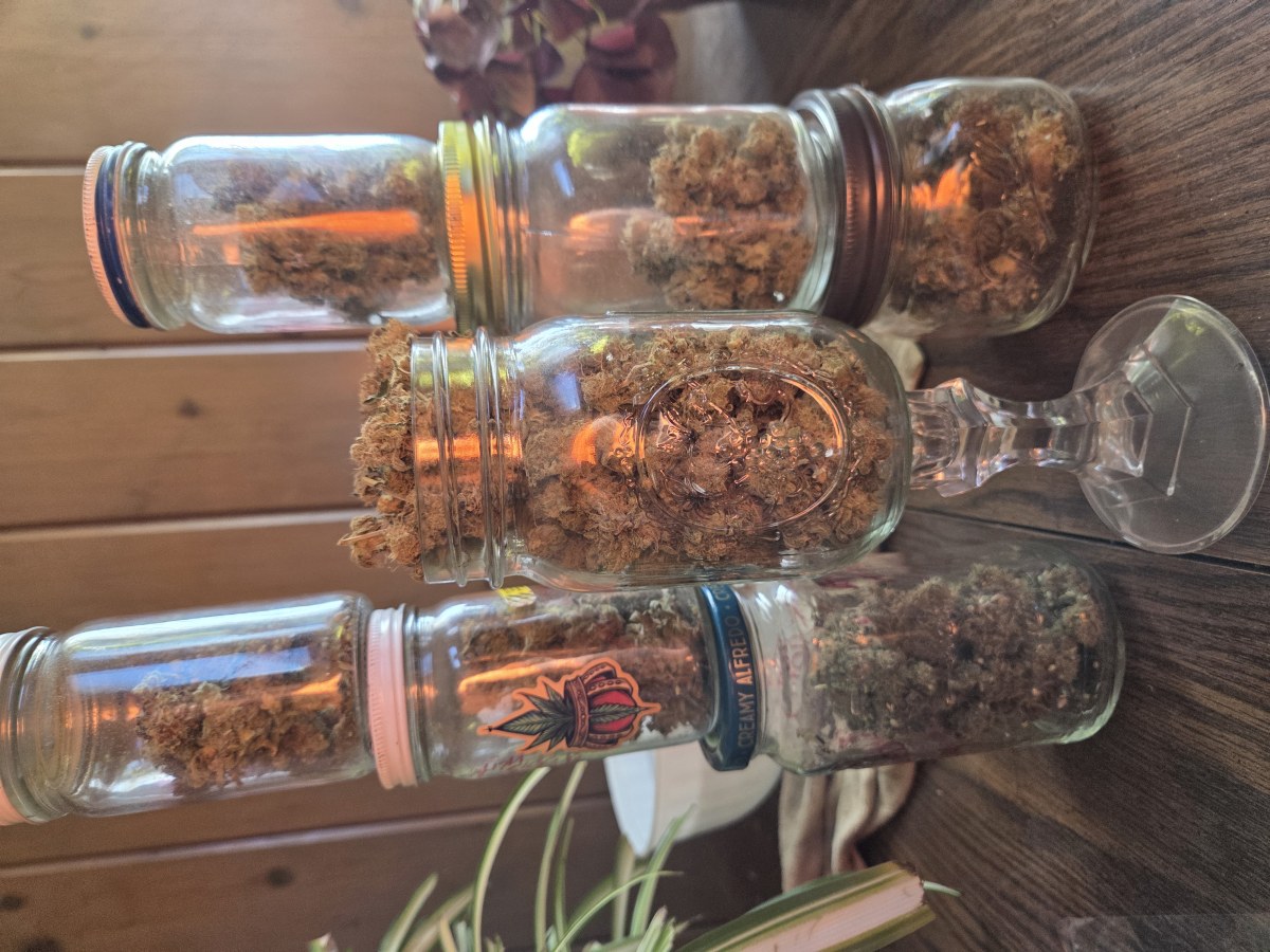 bbs-grow-diaries/blimburnseeds-com/user-4550/1d6f5971b0a43f74