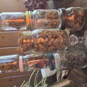 bbs-grow-diaries/blimburnseeds-com/user-4550/1d6f5971b0a43f74