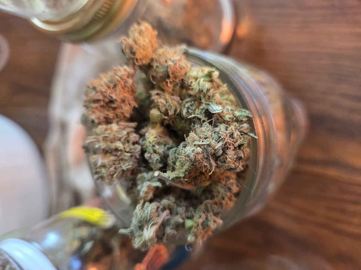 bbs-grow-diaries/blimburnseeds-com/user-4550/62eae7c085a02ff8