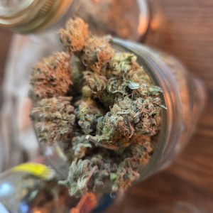 bbs-grow-diaries/blimburnseeds-com/user-4550/62eae7c085a02ff8