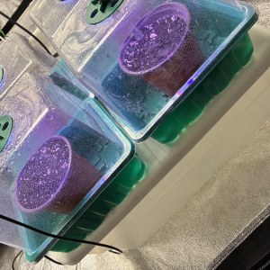 bbs-grow-diaries/blimburnseeds-com/user-46132/a3c040746516c488