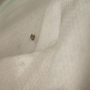 bbs-grow-diaries/blimburnseeds-com/user-48251/f08a6cc9fbd33cd0