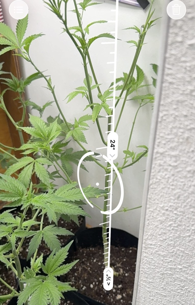 bbs-grow-diaries/blimburnseeds-com/user-48804/465ee6dbee4f90e1