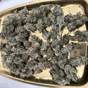 bbs-grow-diaries/blimburnseeds-com/user-49874/065d59011bc9382c