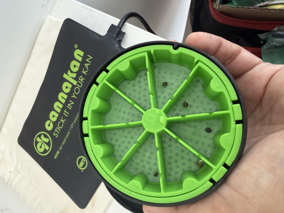 bbs-grow-diaries/blimburnseeds-com/user-49874/486ebd795ff217f8