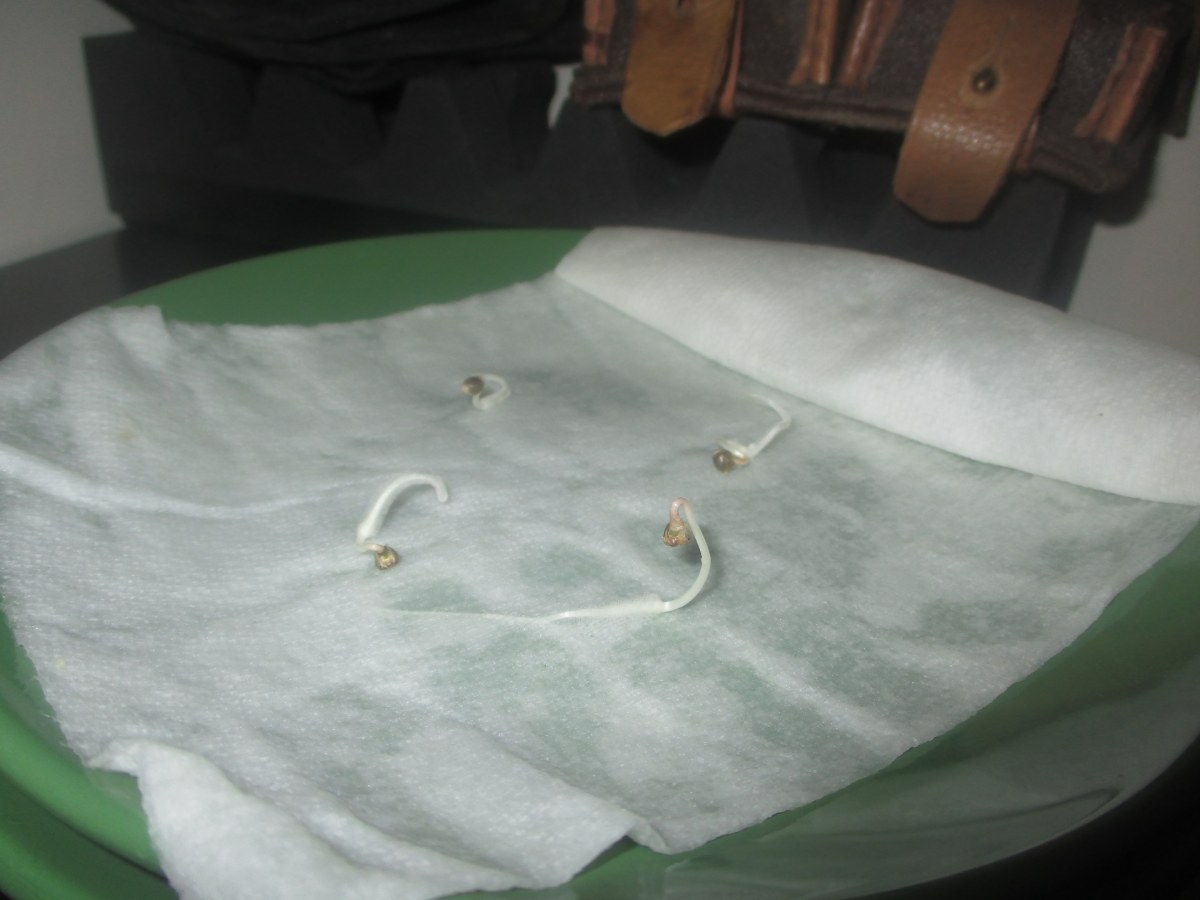 bbs-grow-diaries/blimburnseeds-com/user-49878/95f8929a67ddd330