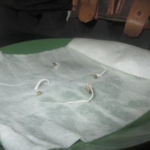 bbs-grow-diaries/blimburnseeds-com/user-49878/95f8929a67ddd330