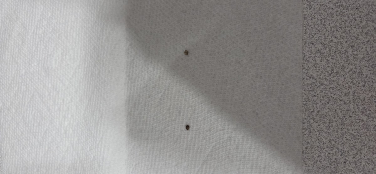 bbs-grow-diaries/blimburnseeds-com/user-50002/b81d3f9cb7da9caa