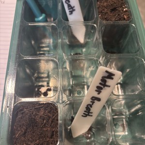 bbs-grow-diaries/blimburnseeds-com/user-50190/0b1aeb275c36ecdb