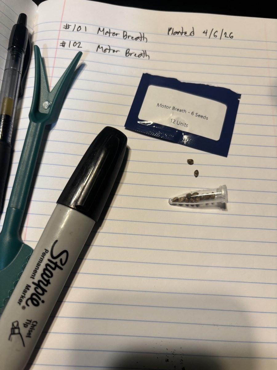 bbs-grow-diaries/blimburnseeds-com/user-50190/2094ca97460b169a