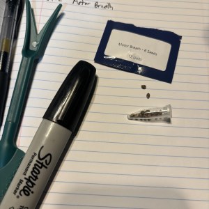 bbs-grow-diaries/blimburnseeds-com/user-50190/2094ca97460b169a