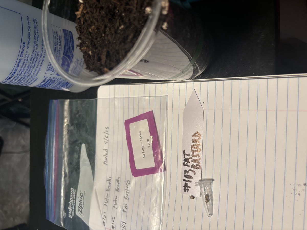 bbs-grow-diaries/blimburnseeds-com/user-50190/601884824a943d61