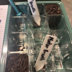 bbs-grow-diaries/blimburnseeds-com/user-50190/8776a6e5e43d4d7f