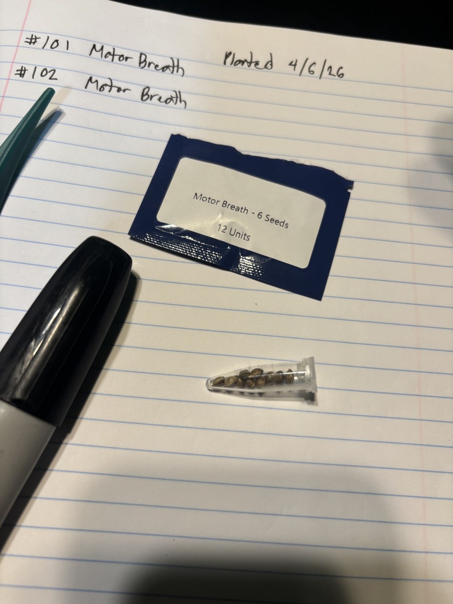 bbs-grow-diaries/blimburnseeds-com/user-50190/a04b5a1768054330