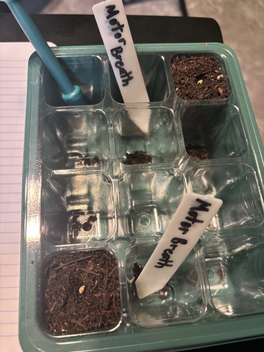 bbs-grow-diaries/blimburnseeds-com/user-50190/a8177d0315a152cd