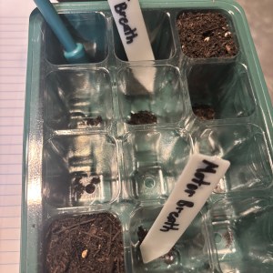 bbs-grow-diaries/blimburnseeds-com/user-50190/a8177d0315a152cd