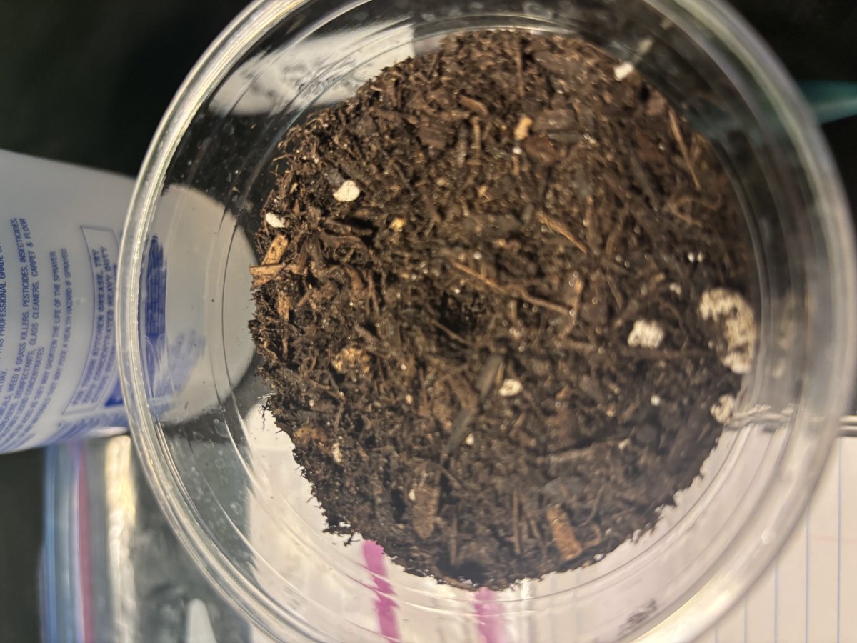 bbs-grow-diaries/blimburnseeds-com/user-50190/d9561c6003aec807