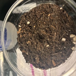 bbs-grow-diaries/blimburnseeds-com/user-50190/d9561c6003aec807