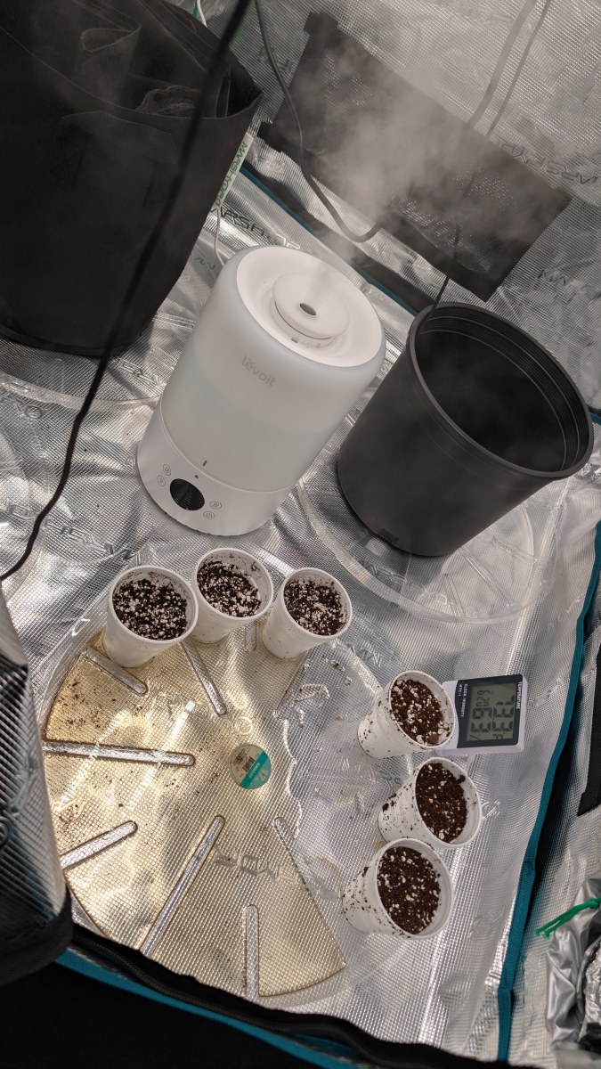 bbs-grow-diaries/blimburnseeds-com/user-50507/c06616455c3f44c7