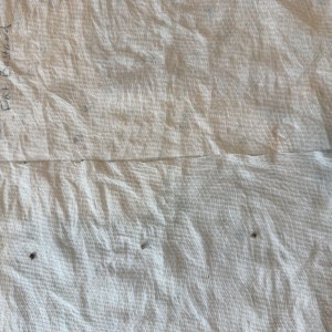 bbs-grow-diaries/blimburnseeds-com/user-50744/2de7a52e2003df97