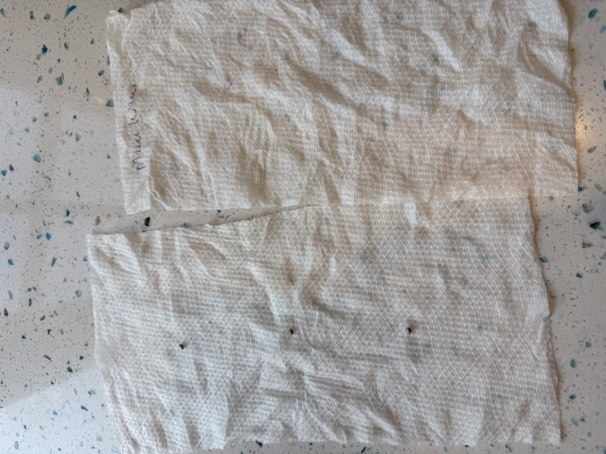 bbs-grow-diaries/blimburnseeds-com/user-50744/56228479eaf4f5a4