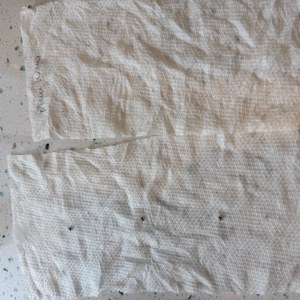 bbs-grow-diaries/blimburnseeds-com/user-50744/56228479eaf4f5a4