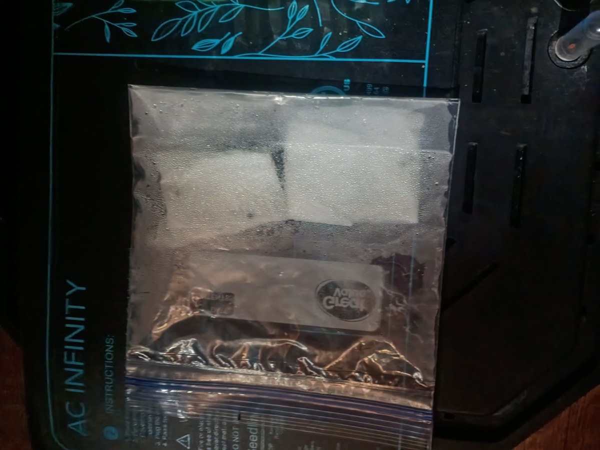 bbs-grow-diaries/blimburnseeds-com/user-50774/97044c1fd99de83e