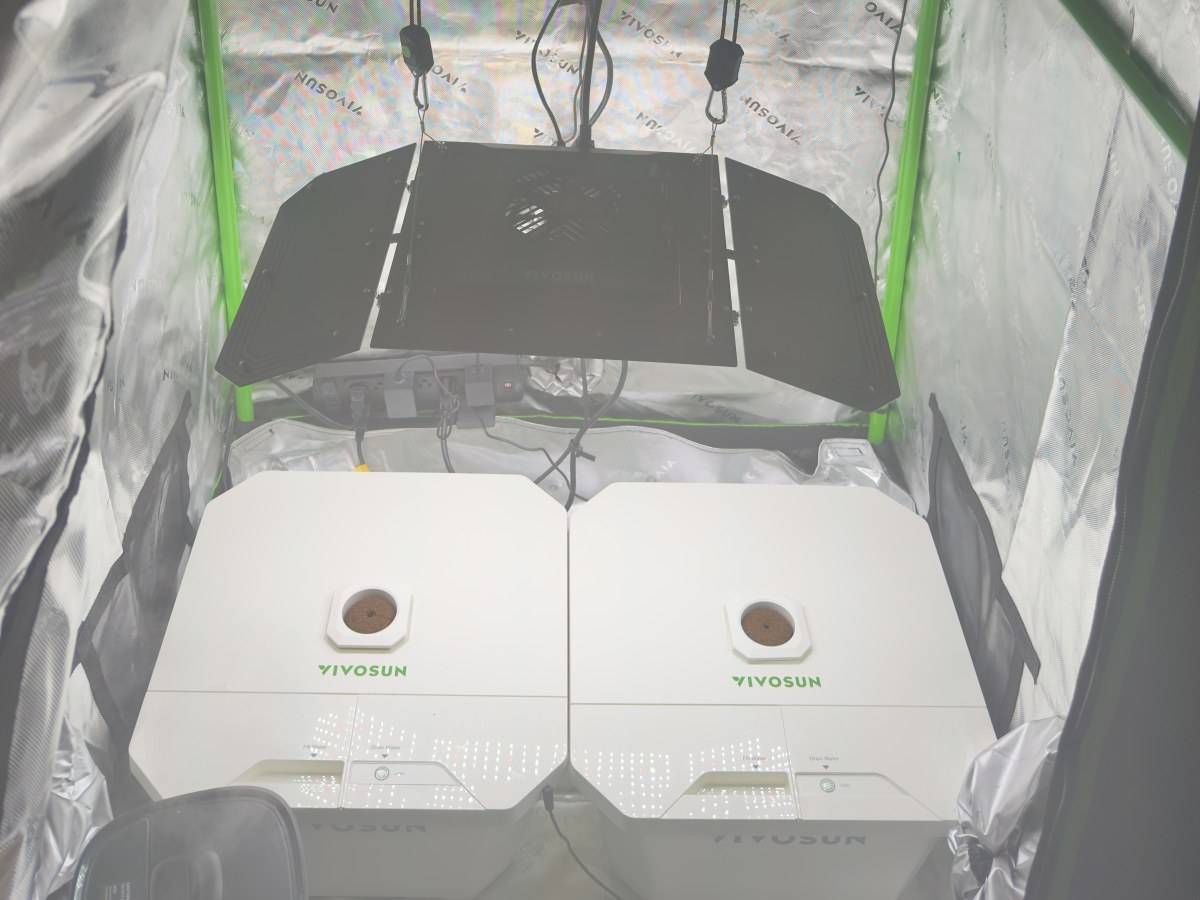 bbs-grow-diaries/blimburnseeds-com/user-54424/1abd27139f7e8e38