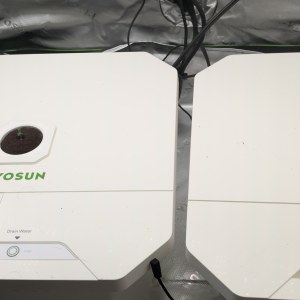 bbs-grow-diaries/blimburnseeds-com/user-54424/fe5c9e197f279b18