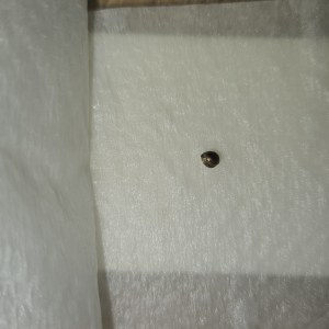 bbs-grow-diaries/blimburnseeds-com/user-5530/63cd25b8edf291da